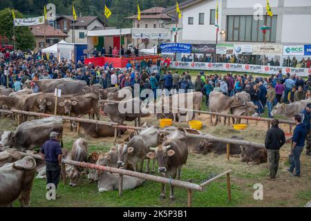 Serina Bergamo Italien 21. September 2022: Serina Livestock Fair, die größte Viehschau in den Bergamo-Tälern Stockfoto