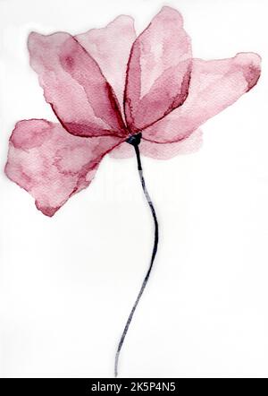 Eine rosa Blume mit zarten großen Blütenblättern und einem langen Stiel. Abbildung in Aquarell ausgeführt. Eine getrocknete Blume. Stockfoto