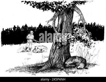 Ein Baum versucht, einen Hirsch, der im Schatten schläft, vor einem herannahenden Jäger zu verbergen. Monochrome Illustration mit Stift und Farbe. Stockfoto