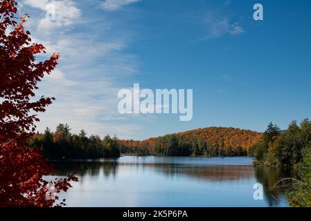 Eine Herbstansicht des Mason Lake in den Adirondack Mountains, NY USA mit Reflexen von schönem Herbstlaub. Stockfoto