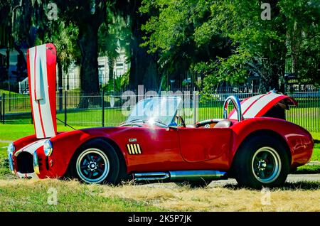 Ein Vintage Shelby Cobra 427 wird während des jährlichen Cruisin’ the Coast Antique Car Festivals 26. am 4. Oktober 2022 in Biloxi, Mississippi, gezeigt. Stockfoto