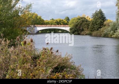 Albert Bridge über die Themse an der Datchet Road in der Nähe von Old Windsor, B.. Stockfoto