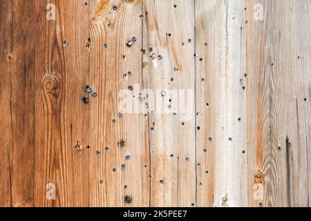 Holzstruktur mit vertikalen Linien. Die Textur von Holz mit Ästen und Löchern. Der Hintergrund besteht aus einem natürlichen Holzzaun. Roter Holzhintergrund. Stockfoto