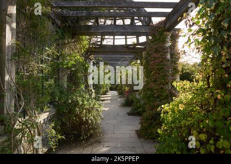 Die Pergola im Hill Garden in Hampstead Heath, North London, Großbritannien, im Frühherbst Stockfoto