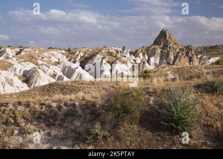 Vegetation, die im Feld der vulkanischen Asche wächst und erodierte Tuffsteinformationen in der Nähe von Goreme, Region Kappadokien, Türkei. Stockfoto