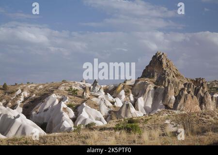 Vegetation, die im Feld der vulkanischen Asche wächst und erodierte Tuffsteinformationen in der Nähe von Goreme, Region Kappadokien, Türkei. Stockfoto