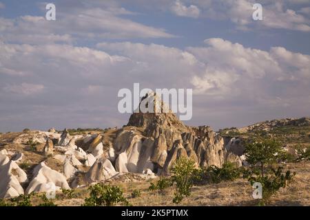 Vegetation, die im Feld der vulkanischen Asche wächst und erodierte Tuffsteinformationen in der Nähe von Goreme, Region Kappadokien, Türkei. Stockfoto