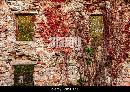 Alte steinerne Burg Stockfoto