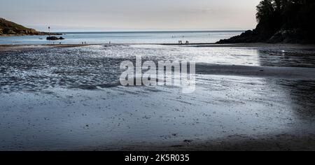 Hundespaziergänger am Salcombe North Sands, mit Blick auf den Sonnenuntergang der Mündung, während ein Spaziergänger mit ihrem Hund unterwegs ist, während die Flut ausläuft, Herbst Stockfoto