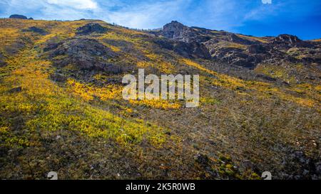 Lamoille Canyon im Herbst Stockfoto