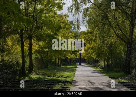 Sonniger Blick im Freien, umgeben von Bäumen unter Schatten auf Zeche Zollverein, dem ehemaligen Kohlebergwerk Zollverein im Ruhrgebiet in Essen, Deutschland. Stockfoto
