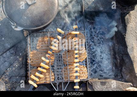 Nahaufnahme der am Lagerfeuer gerösteten Schweineldstücke. Draufsicht. Barbecue auf Feuer. Erholung in der Natur, Aktivitäten in der wilden Umgebung Stockfoto