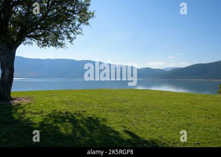 Wunderschöne Landschaft mit einem Baum mit Blick auf den Prespa-See von einem Hügel auf Agios Achillios Island, Florina Region, Griechenland Stockfoto