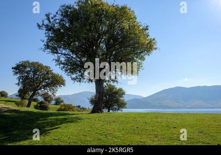 Wunderschöne Landschaft mit Blick auf den Prespa-See von einem Hügel auf der Insel Agios Achilios, Region Florina, Griechenland Stockfoto