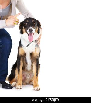 Hes ein so guter Junge. Studioaufnahme einer jungen Frau mit ihrem Hund auf Weiß isoliert. Stockfoto