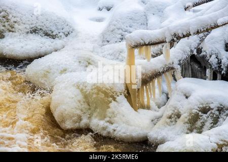 Eiszapfen, der an einem Baumzweig an einem Bach hängt Stockfoto