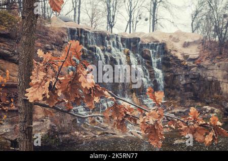 Gelbe Eichenblätter und Wasserfall. Szenische Herbstszene in Vintage-Farben Stockfoto