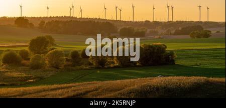 Panorama von grünen Feldern und Herbstbäumen Stockfoto
