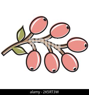 Bunte Herbstblätter und Beeren. Isoliert auf weißem Hintergrund. Einfache Cartoon flachen Stil. vektor-Illustration Stock Vektor