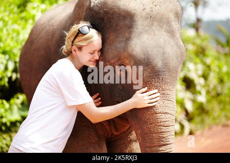 Die enge Verbindung zwischen Tier und Mensch. Eine junge Öko-Touristin lehnt ihren Kopf sanft gegen ein asiatisches Elefantenkalb - Thailand. Stockfoto