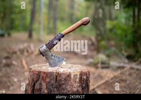 Eine kurze Campingaxt mit Griff, teilweise mit Leder bedeckt, in einem Holzklotz geklebt. Flacher Fokus, verschwommener Wald im Hintergrund. Stockfoto