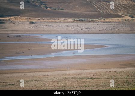 Konzept: Dürre. Künstlicher Sumpf, um Wasser für den menschlichen Verzehr zu reservieren, der aufgrund des Klimawandels austrocknet. Stockfoto