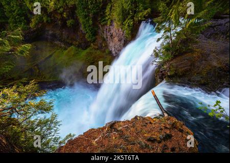 Sahalie Falls am McKenzie River im Willamette National Forest, Oregon Stockfoto