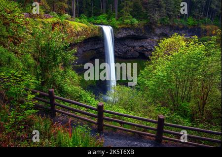 South Falls im Silver Falls State Park, Oregon Stockfoto