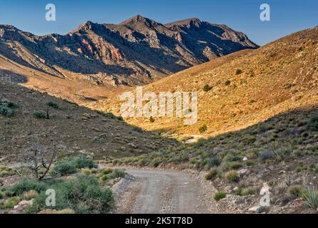 Beaver Dam Mountains, Blick vom Bulldog Pass, zum Bulldog Canyon, Mojave Desert Joshua Tree Rd, Beaver Dam Wash National Conservation Area, Utah, USA Stockfoto