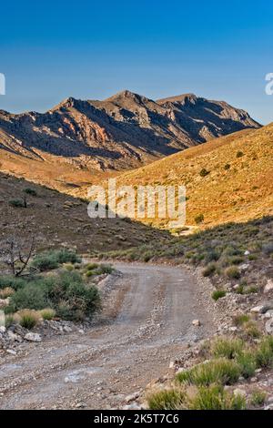 Beaver Dam Mountains, Blick vom Bulldog Pass, zum Bulldog Canyon, Mojave Desert Joshua Tree Rd, Beaver Dam Wash National Conservation Area, Utah, USA Stockfoto