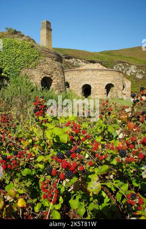 Porth Wen, Brickworks, Llanbadrig, Anglesey, Nordwales, Vereinigtes Königreich. Stockfoto