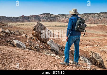 The Hartnet, Wanderer am Aussichtspunkt auf dem Lower Cathedral Valley Ridge, Capitol Reef National Park, Utah, USA Stockfoto