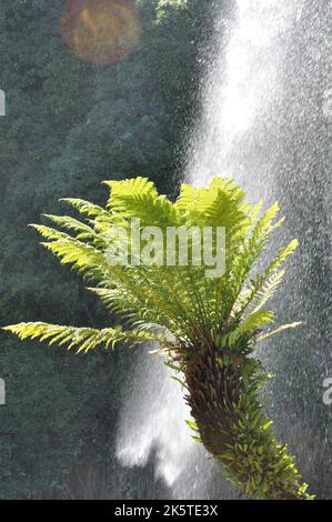 Jardin Extraordinaire, ein Garten in Nantes, Frankreich mit Wasserfall, Felsen und üppiger Vegetation. Stockfoto