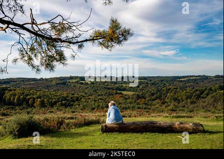 Frau, die am sonnigen Herbsttag auf einem alten Baum sitzt und über den Ashdown Forest blickt, East Sussex, England, Großbritannien Stockfoto