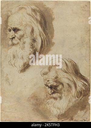 Zwei Studien über Rubens, den Kopf eines älteren Mannes Stockfoto