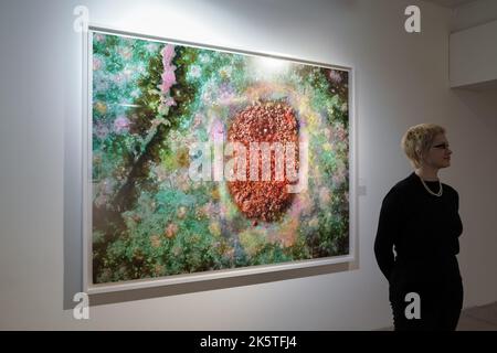 London, Großbritannien. 10.. Oktober 2022. Broken Spectre von Richard Mosse in den 180 Studios, The Strand. Die neue fotografische Arbeit des Künstlers Mosse im Infrarotbereich ariel untersucht die Herausforderungen, die die Darstellung des Klimawandels tief im brasilianischen Regenwald mit sich bringt. Kredit: Guy Corbishley/Alamy Live Nachrichten Stockfoto