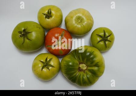 Herbstfrüchte zum Verkauf auf einem Bauernmarkt in Wakefield, grüne Tomaten, gesunde rote und grüne Tomaten auf dem spanischen Markt, frische rote Tomaten bereit Stockfoto
