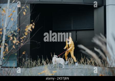 Glücklicher junger Mann, der während des Herbsttages seinen Hund im Freien in der Stadt herumläuft. Stockfoto