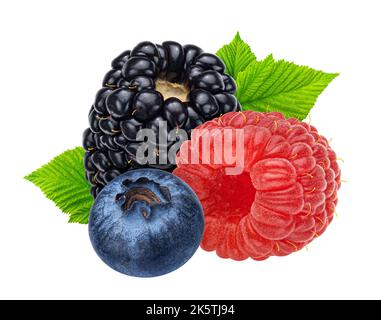 Beeren mischen. Heidelbeere, Himbeere und Brombeere isoliert auf weißem Hintergrund Stockfoto