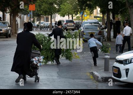 Jerusalem, Israel - 28.. September 2022: Jüdische orthodoxe Männer, die Sukkah-Baumaterialien auf einer Straße in Jerusalem, Israel, tragen. Stockfoto