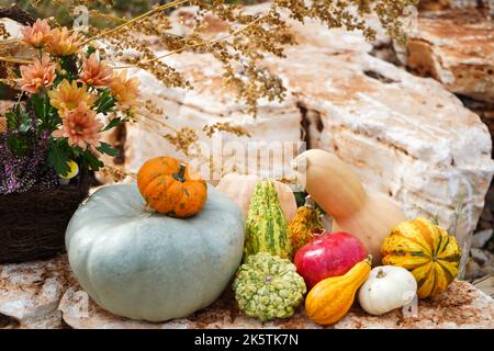Herbst noch Leben mit Kürbissen Stockfoto
