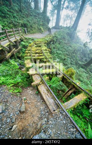 Schöner historischer Wanderweg Jianqing (Jiancing), die Waldeisenbahn von Taiwan Taipingshan National Forest Recreation Area. Stockfoto