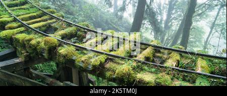 Schöner historischer Wanderweg Jianqing (Jiancing), die Waldeisenbahn von Taiwan Taipingshan National Forest Recreation Area. Stockfoto