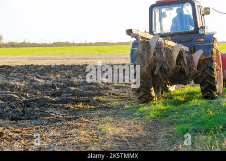 Nach der Ernte im Herbst pflügt sich der Traktor durch das Feld Stockfoto