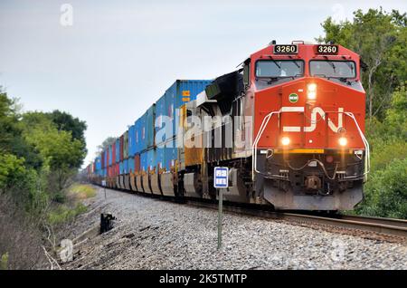 Dundee, Illinois, USA. Lokomotiven führen einen intermodalen Güterzug der Canadian National Railway durch einen ländlichen Abschnitt im Nordosten von Illinois. Stockfoto