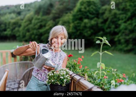 Ältere Frau, die ihre Blumen auf der Terrasse wässert und den Blick auf den Wald genießt. Stockfoto