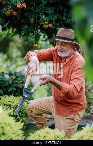 Älterer Mann, der Büsche in seinem Garten trimmt. Stockfoto