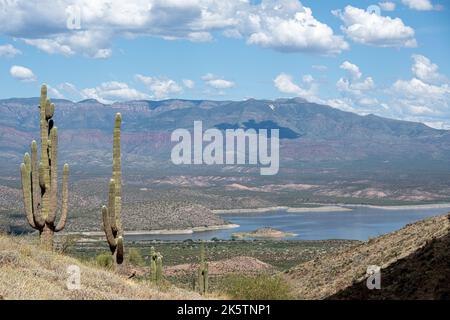 Mit Blick auf ein Tal im Tonto National Forest, Arizona Stockfoto