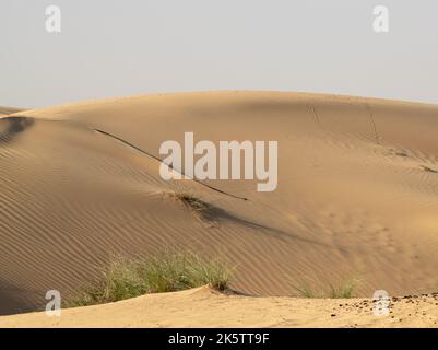 Blick auf eine wunderschöne große Sanddüne in der Wüste im Al Marmoom Wüstenschutzgebiet in Al Qudra in Dubai, Vereinigte Arabische Emirate. Stockfoto
