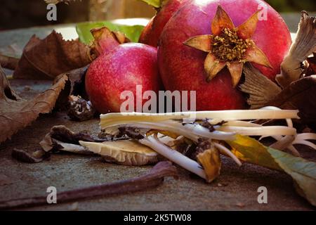 3 Granatäpfel, Blätter und Pilze Stockfoto